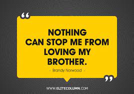 50 Brother Quotes That Will Make You Feel Proud 2021 Elitecolumn