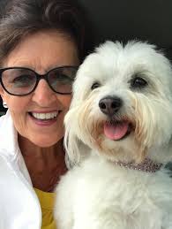 Low water levels at Trout Pond in Pouch Cove, NL