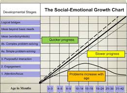 The Bayley Iii Social Emotional Scale Sciencedirect