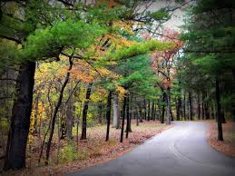 Great place to visit in the autumn Camping At White Pines State Park Mt Morris Illinois K Wilke Photography State Parks Beautiful Places Places To Go
