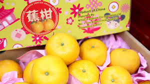 Coca cola s simply orange more sustainable still structurally. Know Your Mandarin Oranges Labourbeat