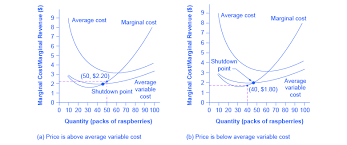 Reading The Shutdown Point Microeconomics