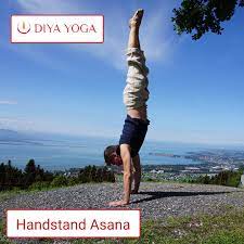 Or use our unscramble word solver to find your best possible play! Diya Yoga Auf Twitter Paschimotan Asana Paschimot Asana Or Seated Forward Bend Gives The Entire Body A Good Stretch The Front Part Of The Body Is Called The East And Back Is