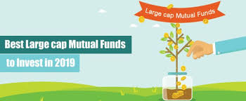 Best Large Cap Mutual Funds 2021
