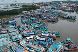 Suhu hangat ini memungkinkan terbentuknya terumbu karang sebagai habitat ikan. Natuna Simpan Potensi Wisata Eksotis Kabar24 Bisnis Com