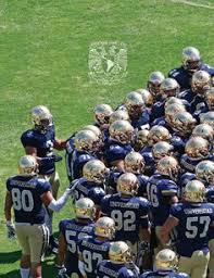 Check spelling or type a new query. 59 Ideas De Futbol Americano Nfl En 2021 Futbol Americano Nfl Futbol Americano Nfl