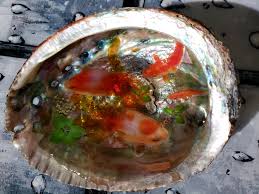ময়মনসিংহ) is the capital of mymensingh division, bangladesh.located on the bank of brahmaputra river, about 120 km (75 mi) north from dhaka, it is a major financial centre and educational hub of north central bangladesh. Large Resin Paperweight Gold Koi Fish Pond In Abalone Shell Etsy Fish Pond Koi Fish Koi Fish Pond