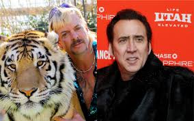 In 2019, he was infamously convicted of. Why Nicolas Cage Is Perfect For Tiger King Joe Exotic In New Show