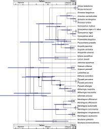 © © all rights reserved. Dispersals Of Hyoscyameae And Mandragoreae Solanaceae From The New World To Eurasia In The Early Miocene And Their Biogeographic Diversification Within Eurasia Sciencedirect
