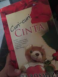 Sang pria kaya,mapan dan tampan. Drama Curi Curi Cinta