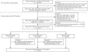 Another 20 percent of cervical cancers are caused by hpv 31, 33, 45, 52, and 58. Impact Of Hpv Vaccination On Cervical Screening Performance A Population Based Cohort Study British Journal Of Cancer