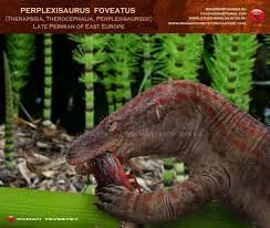 Image result for Phacelurus