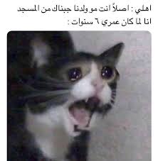نكت ضحك ميمز فلة نزار قباني الجمعة انمي ضحك بداية الدراسة نكت ضحك ميمز فلة نزار قباني الجمعة Funny Animal Memes Funny Pictures Really Funny