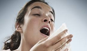Why Do We Sneeze Openmind