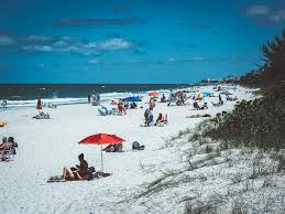 It produces brevetoxins — powerful and potent neurotoxins — that can kill marine animals and be harmful to humans. Was Ist Die Florida Red Tide Und Ist Sie Fur Menschen Gefahrlich Travelpurrfect De