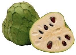 In Season 2 07 16 Cherimoya Cherimoyas Fruit