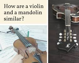 Maybe you gave up on those lessons too soon as a kid, or perhaps you were more into sports and just never tried. How Are The Violin And The Mandolin Similar Rising Stars Music School