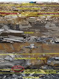 Steinkern De Die Fossilien Community Neue Funde Aus Einem Baustellenaufschluss Im Lias Epsilon Frankens ⇒ paläozoikum (erdaltertum) mit den perioden ⇒ kambrium, ⇒ ordovicium, ⇒ silur.