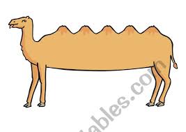 Download song or listen online free, only on jiosaavn. Alice The Camel Esl Worksheet By Qiong