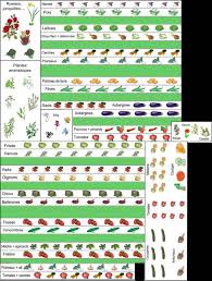 Exemples De Plans De Potager Et De Contenus De Potager Plan Potager Potager Jardin Potager
