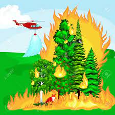 Después de un incendio forestal. Incendio Forestal Incendio En Danos Forestales Paisaje Cubo Desastre Ecologia Arboles Ardiendo La Llama De Peligro De Incendio Con Humo Fuego Ilustracion Vectorial De Fondo De Madera Arbol De La Quema De