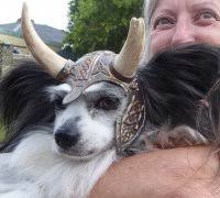 hot dogs" 3D Models to Print