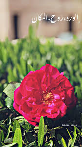 pin by suha on صور abstract wallpaper backgrounds abstract wallpaper wallpaper backgrounds