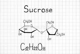 We did not find results for: Sucrose Molecule Photos Free Royalty Free Stock Photos From Dreamstime