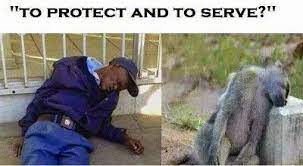 Let's strictly adhere to this. The Latest Only In South Africa Series Images Humour African Jokes South Africa Quotes African Memes