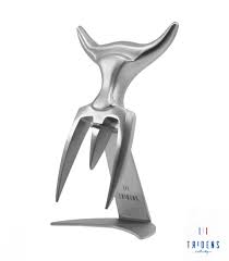 Tridens Fork Stainless Steel Holder