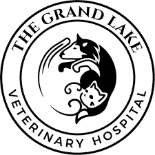 Maybe you would like to learn more about one of these? Veterinarian In Oakland Ca The Grand Lake Veterinary Hospital