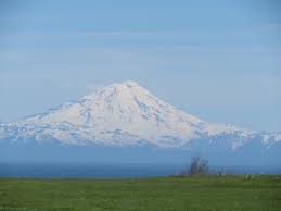 The alaska snap food benefits program helps qualifying individuals and familiesafford nutritious groceries they can eat throughout the month. In Alaska Changes To Snap Could Spell Disaster Change Wire Change Wire