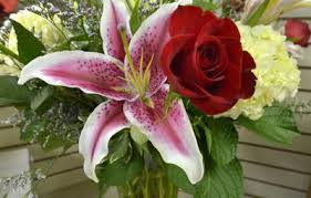 Royer S Flowers Gifts Collects Cards For Area Military Veterans Local News Lancasteronline Com