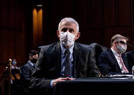 Fauci Trump S Dumb Liberate Tweets Felt Like A Punch To The Chest