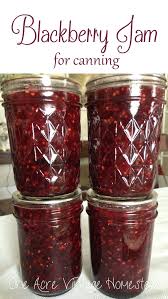 Blackberry Jam A Water Bath Food Preservation Recipe Blackberry Jam Blackberry Jam Recipes Homemade Blackberry Jam