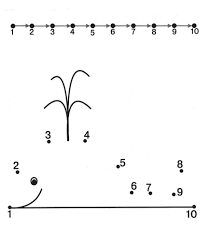 Whale Jpg 865 1 000 Piksel Boyama Sayfalari Labirentler Matematik