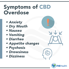 While fatal overdose from cbd is not an option, there's a lot more to the topic of the side effects of cbd oil. Is It Possible To Overdose On Cbd Dosages Signs