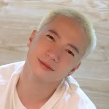 Đầm kiểu chữ A nhún hông BEE WOOD Costume