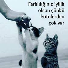 Https Tr Pinterest Com Esraerkacan Hayvan Sozleri Ozlu Sozler Hayvan