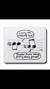 Music Puns Music Puns Music Memes Funny Musical Jokes