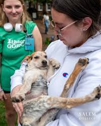 Thanks to Professor Ana León-Távora who snapped some beautiful photos of  campus recently...there's just nothing like this time of year at Salem!