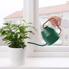 Vattenkrasse Watering Can Dark Green Ikea Watering Can Plant Watering Can Watering