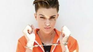 Emma Cornish, Author at LOTL