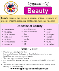Our guide on how to recycle cosmetics and beauty products using your recycling bin and specialist recycling centres like terracycle. Opposite Of Beauty Antonyms Of Beauty Meaning And Example Sentences English Grammar Here