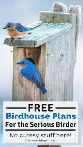 13 Free Birdhouse Plans Easy Pdf Video Instructions Bird Watching Hq Bird House Plans Free Bird House Kits Bird House