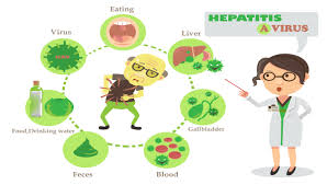 Hav is found in the stool and blood of people who are infected. There Isn T More Hepatitis A Risk For Restaurant Workers But They Can Spread It Faster Than Others Food Safety News