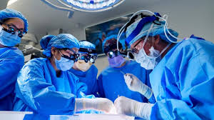 Image result for Transplantation