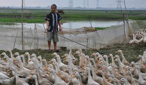 Không solo với bọn cầm dao thì võ đéo gì chả chạy. Huáº¿ Sau Chá»‰ Ä'áº¡o Cá»§a Chá»§ Tá»‹ch Tá»‰nh Nhiá»u Gia Cáº§m Ca Ä'Æ°á»£c Giáº£i Cá»©u