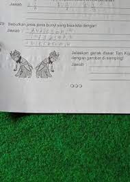 Kemudian tarian ini di kenal oleh masyarakat. 30 Jelaskan Gerak Dasar Tari Kijang Yang Sesuaidengan Gambar Di Samping Jawab Combardia Brainly Co Id