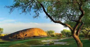 By flies inside the sun. Cactus Makes Perfect In Tucson Colorado Avidgolfer